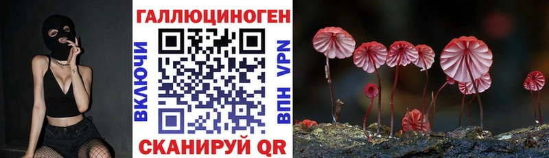 Галлюциногенные грибы Psilocybine cubensis  Александровск 